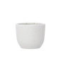 MUGG av "SALT" (typ A)